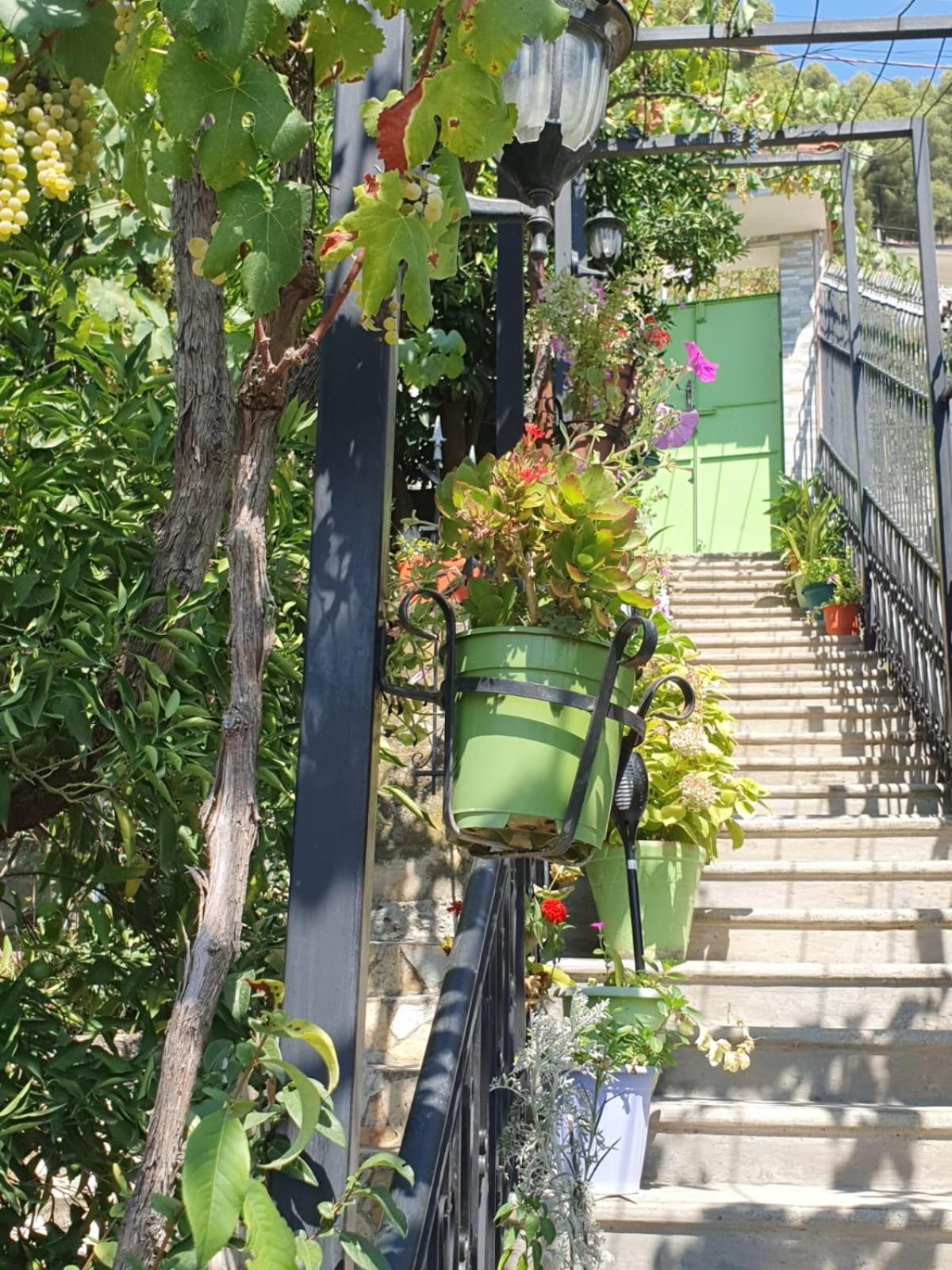 Sara Guesthouse Berat Eksteriør bilde